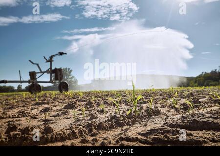 Landwirtschaftliche Bewässerungsmaschine Spritzen Wasser auf trocken abgelegt. Themen Dürre, Umwelt und Landwirtschaft. Stockfoto