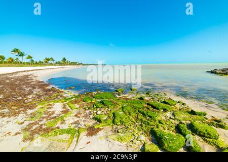 Klarer Himmel über Smathers Beach in Key West. Florida Keys, USA Stockfoto