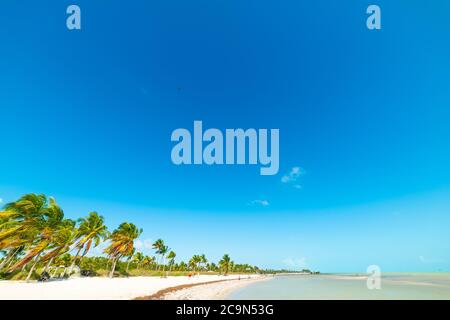 Blauer Himmel über dem wunderschönen Smathers Beach in Key West. Florida Keys, USA Stockfoto