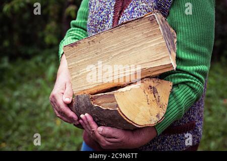 Nahaufnahme der Hände einer älteren Frau, die Holzstämme für Feuer hält. Stockfoto