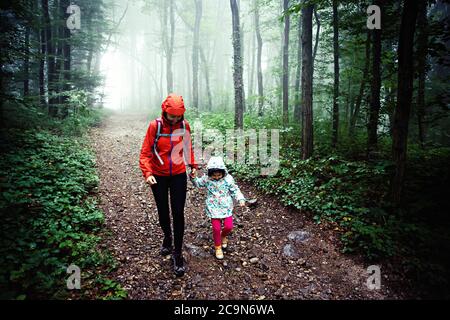 Kaukasische Mutter mittleren Alters hält sich mit ihrer Kleinkindtochter die Hände, während sie durch nebligen Regenwald wandert. Stockfoto
