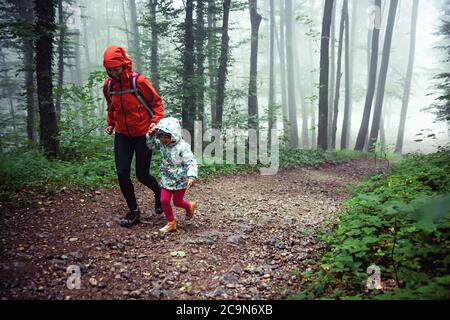 Mutter und ihre junge Tochter wandern durch nebligen Wald. Stockfoto