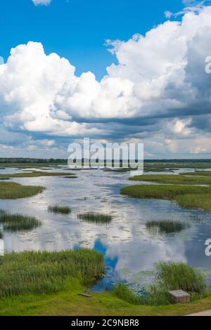 Lubans See, der größte See in Lettland. Flacher Drainagesee, gespeist von den Flüssen Rēzekne, Malta, Malmuta und Lisinja und mehreren kleineren Bächen, Teich Stockfoto