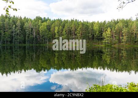 Wunderbare Natur. Teufelssee in Latgale, Lettland. Schöner See in einem Kiefernwald, mit grünen Bäumen und Wolken auf dem Wasser im Sommer reflektiert Stockfoto