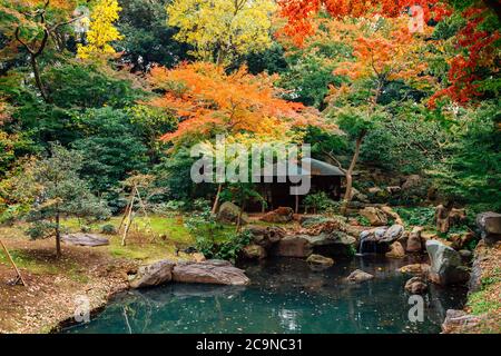 Teich mit herbstlichen Ahornwäldern in den Rikugien Gärten in Tokyo, Japan Stockfoto