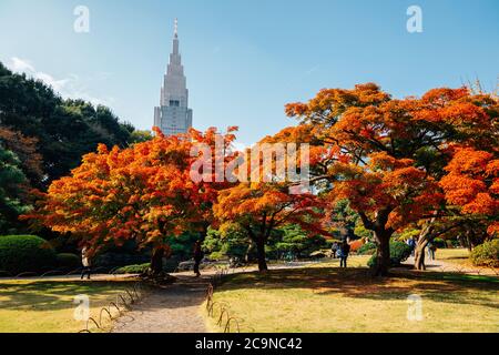 Shinjuku Gyoen Park im Herbst in Tokio, Japan. Stockfoto