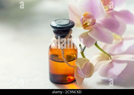 Eine Flasche aromatisches Öl, neben der Orchidee installiert. Wellness-, Gesundheits- und Schönheitskonzept. Selektiver Fokus Stockfoto