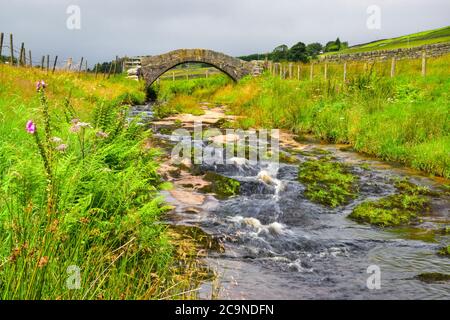 Strines Brücke, untere Strines, Colden Wasser, alte Packesel Brücke über den Fluss, Jack Bridge, Colden, südlichen Pennines, Calderdale, West Yorkshire Stockfoto