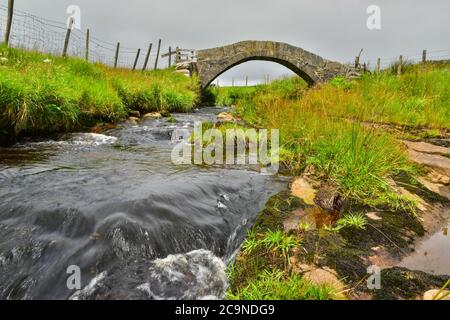 Strines Brücke, untere Strines, Colden Wasser, alte Packesel Brücke über den Fluss, Jack Bridge, Colden, südlichen Pennines, Calderdale, West Yorkshire Stockfoto