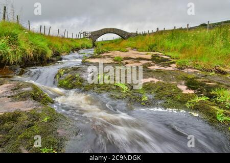 Strines Brücke, untere Strines, Colden Wasser, alte Packesel Brücke über den Fluss, Jack Bridge, Colden, südlichen Pennines, Calderdale, West Yorkshire Stockfoto