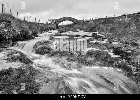 Strines Brücke, untere Strines, Colden Wasser, alte Packesel Brücke über den Fluss, Jack Bridge, Colden, südlichen Pennines, Calderdale, West Yorkshire Stockfoto