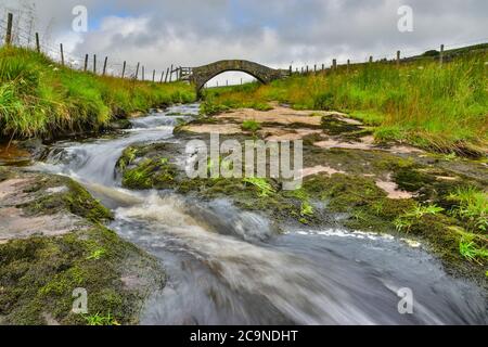 Strines Brücke, untere Strines, Colden Wasser, alte Packesel Brücke über den Fluss, Jack Bridge, Colden, südlichen Pennines, Calderdale, West Yorkshire Stockfoto