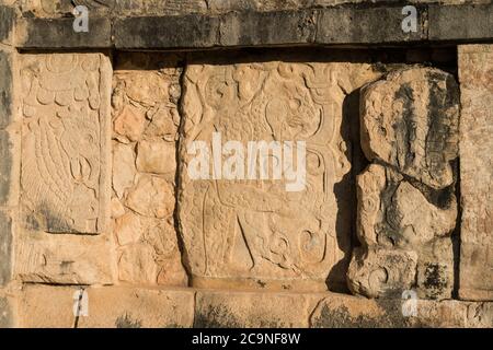 Die Plattform der Adler und Jaguare, im Maya-Toltec-Stil gebaut, in den Ruinen der großen Maya-Stadt Chichen Itza, Yucatan, Mexiko. Stockfoto