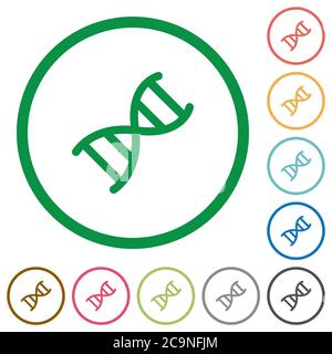 Flache Farbsymbole des DNA-Moleküls in runden Umrissen auf weißem Hintergrund Stock Vektor