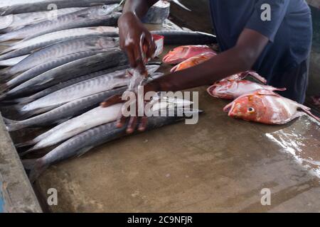 Victoria, Seychellen - 29. April 2019: Der Mann auf dem Fischmarkt bereitet die Ausstellung der Fische vor Stockfoto