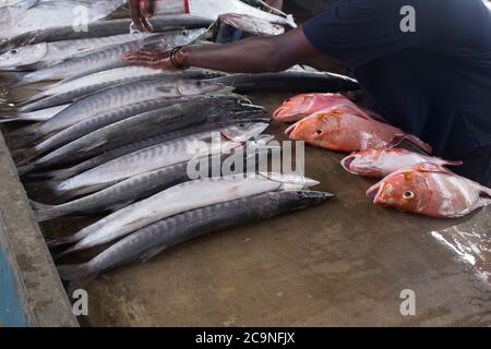 Victoria, Seychellen - 29. April 2019: Der Mann auf dem Fischmarkt bereitet die Ausstellung der Fische vor Stockfoto