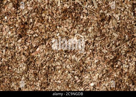 Blick auf Eukalyptus Holz Chip Lagerung Textur Stockfoto