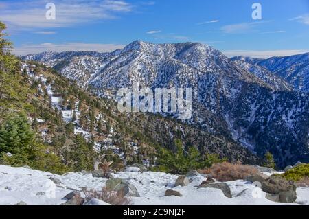 Winterblick auf Mount Baldy Stockfoto