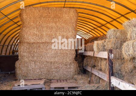Heuballenlagerung in einem landwirtschaftlichen Gebäude Stockfoto