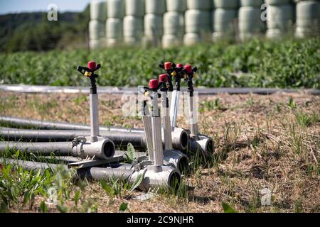 Nahaufnahme von Bewässerungssystemen in landwirtschaftlichen Feldern Stockfoto