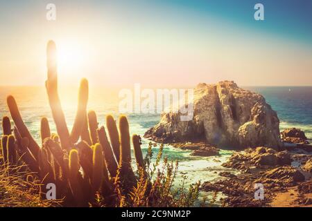 Felseninsel mit Kakteen im Vordergrund bei Koastilne des pazifischen Ozeans bei Sonnenuntergang in Chile Stockfoto