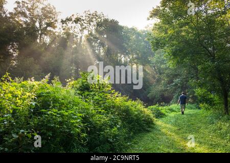 Bull's Island, im Delaware River (Teil des Delaware und Raritan Canal State Park), New Jersey, USA Stockfoto