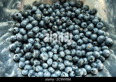 Frische Brombeeren oder Blaubeeren von oben fotografiert. Nahaufnahme von frischen, gesunden Sommerbeeren. Stockfoto