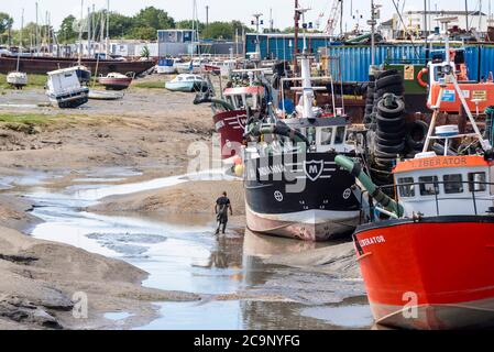 Fischereiflotte bei Ebbe in Old Leigh, Leigh on Sea, Essex, Großbritannien. Person, die bei einem großen Fischerboot steht, um die Waage zu erhalten. Fischerboote, Schiffe. Herzmuschel Stockfoto