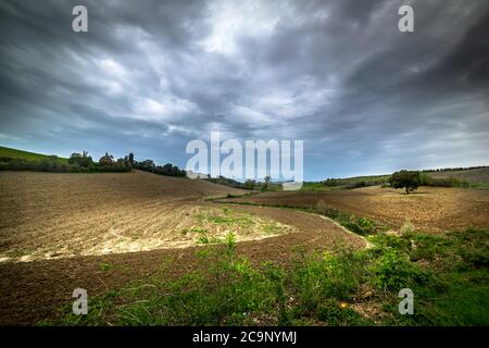 Grauer Himmel über einem braunen Feld in der Toskana, Italien Stockfoto