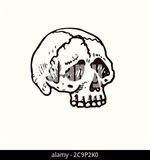 Menschlicher Schädel Vorderansicht, handgezeichneter Doodle, Zeichnung, Skizzendarstellung, Design-Element Stockfoto