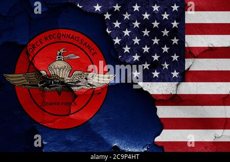 Flaggen der United States Marine Corps Force Reconnaissance und USA auf rissige Wand gemalt Stockfoto