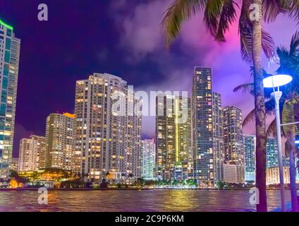 Palmen und Wolkenkratzer in Riverwalk Miami bei Nacht. Florida, USA Stockfoto