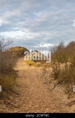 Ein Weg durch Sanddünen, der zum Meer führt, bei Formby in Merseyside Stockfoto