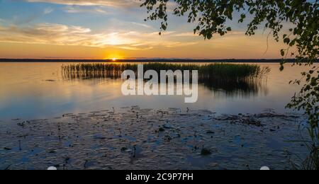 Atemberaubender Sonnenuntergang im Lahemaa Nationalpark, Estland. Der größte Park in Estland. Es war der erste Nationalpark der ehemaligen Sowjetunion. Stockfoto