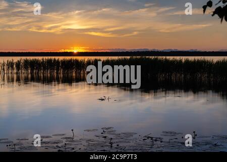 Atemberaubender Sonnenuntergang im Lahemaa Nationalpark, Estland. Der größte Park in Estland. Es war der erste Nationalpark der ehemaligen Sowjetunion. Stockfoto