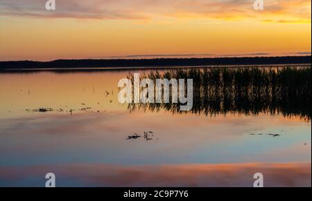 Lahemaa-Nationalpark, Estland. Der größte Park in Estland. Es war der erste Nationalpark der ehemaligen Sowjetunion. Stockfoto