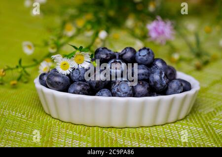Frische Blaubeeren in weißer Schale auf grünem Hintergrund. Gesunde Ernährung Konzept. Stockfoto