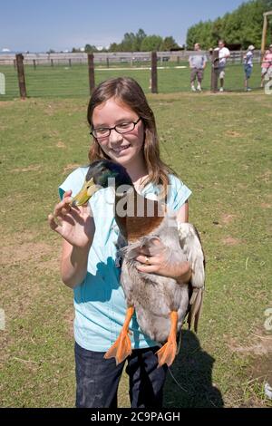 Ein junges 4-H-Geflügelmitglied zeigt ihre Hausente bei einem 4-H-Treffen im Freien in Redmond, Oregon. Stockfoto