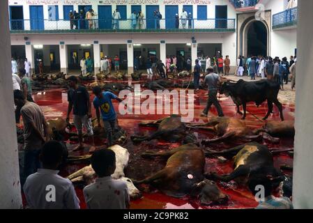 Lahore, Pakistan. August 2020. Pakistanische muslimische Anhänger schlachten Kühe nach Angebot Eid al-Adha das Festival of Sacrifice (Qurbani) Gebet in der Jamia Naeemia Moschee mit SOP's in Lahore. Staatlich verhängte landesweite Sperrung als Präventivmaßnahme gegen das COVID-19-Coronavirus' in Lahore feiern Muslime auf der ganzen Welt das jährliche Fest von Eid al-Adha oder das Opferfest, Das markiert das Ende der Hadsch-Wallfahrt nach Mekka und in Erinnerung an die Bereitschaft des Propheten Abraham, seinen Sohn zu opfern, um Gehorsam gegenüber Gott zu zeigen. Stockfoto