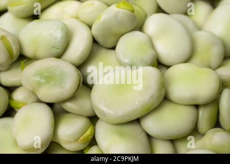 Frische grüne Saubohnen Nahaufnahme selektiver Fokus Stockfoto