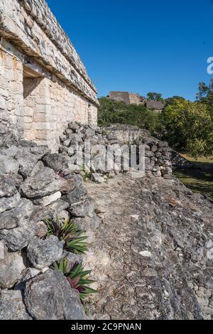 Der Blick auf die Akropolis von der Plattform der Struktur 17 in den Ruinen der prähispanischen Maya-Stadt Ek Balam in Yucatan, Mexiko. Stockfoto