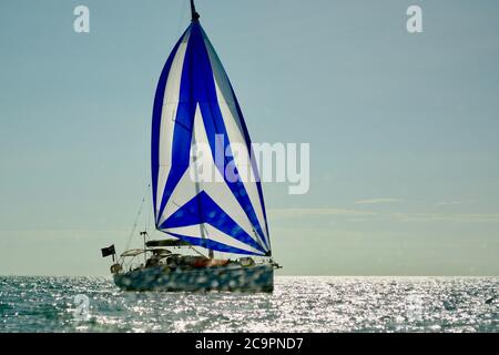 Port Denarau, Fidschi, August 2019. Yachten an der Port Denarau Marina, bereit, tropische Inseln der Westlichen Division von Fidschi zu erkunden. Stockfoto