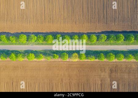 Ländliche Landschaft mit Feldern. Luftaufnahme Reihen von Erde vor dem Pflanzen. Furchen Reihen Muster in einem gepflügten Feld für die Pflanzung von Pflanzen im Frühjahr vorbereitet Stockfoto