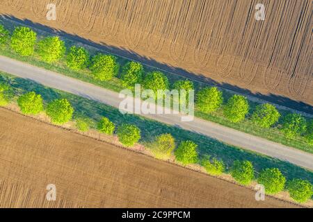 Ländliche Landschaft mit Feldern. Luftaufnahme Reihen von Erde vor dem Pflanzen. Furchen Reihen Muster in einem gepflügten Feld für die Pflanzung von Pflanzen im Frühjahr vorbereitet Stockfoto