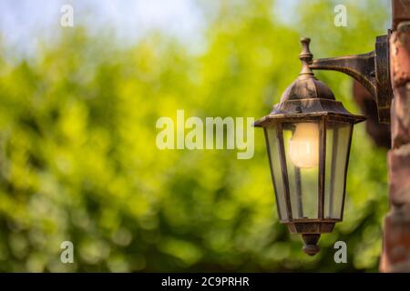 Lamppost in einem Garten voller Pflanzen, tagsüber, Hintergrund voller verschwommener hellgrüner Blätter Stockfoto