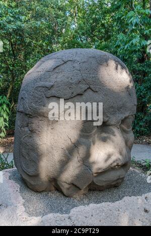 Denkmal 4, der alte Krieger, aus den Olmec Ruinen von La Venta. Vorklassische Periode (700-400 v. Chr.). La Venta Museum, Villahermosa, Mexiko. Stockfoto