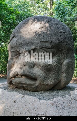 Denkmal 4, der alte Krieger, aus den Olmec Ruinen von La Venta. Vorklassische Periode (700-400 v. Chr.). La Venta Museum, Villahermosa, Mexiko. Stockfoto