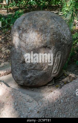 Denkmal 75, ein menschlicher Kopf, aus den Olmec Ruinen von La Venta. Vorklassische Periode (700-400 v. Chr.). La Venta Museum, Villahermosa, Mexiko. Stockfoto