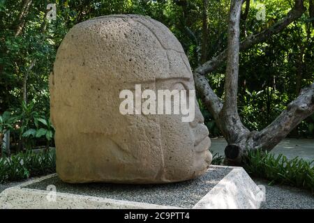 Ein riesiger Steinkopf aus den Ruinen von Olmec von La Venta. Vorklassische Periode (700-400 v. Chr.). La Venta Museum, Villahermosa, Mexiko. Stockfoto