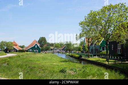 Touristen besuchen die schönen traditionellen Häuser und Felder von Zaanse Schans in Zaandam bei Amsterdam in den Niederlanden Stockfoto